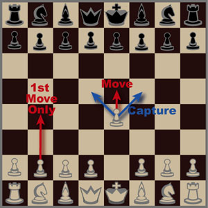 What are some special chess moves?